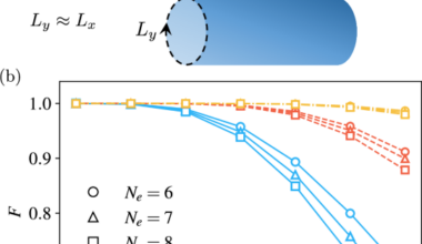 Realization of fermionic Laughlin state on a quantum processor