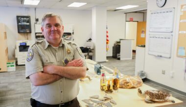 ‘Hey, this box stinks’: The weird work of intercepting trafficked wildlife in Alaska
