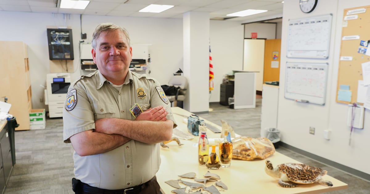 ‘Hey, this box stinks’: The weird work of intercepting trafficked wildlife in Alaska