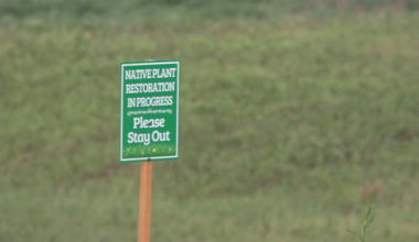 Wild Roots Nature Center secures funding to restore former Rockford golf course