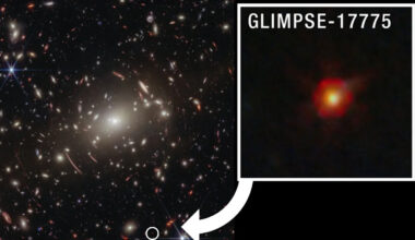 James Webb Space Telescope finds evidence the mysterious 'little red dots' are black hole stars