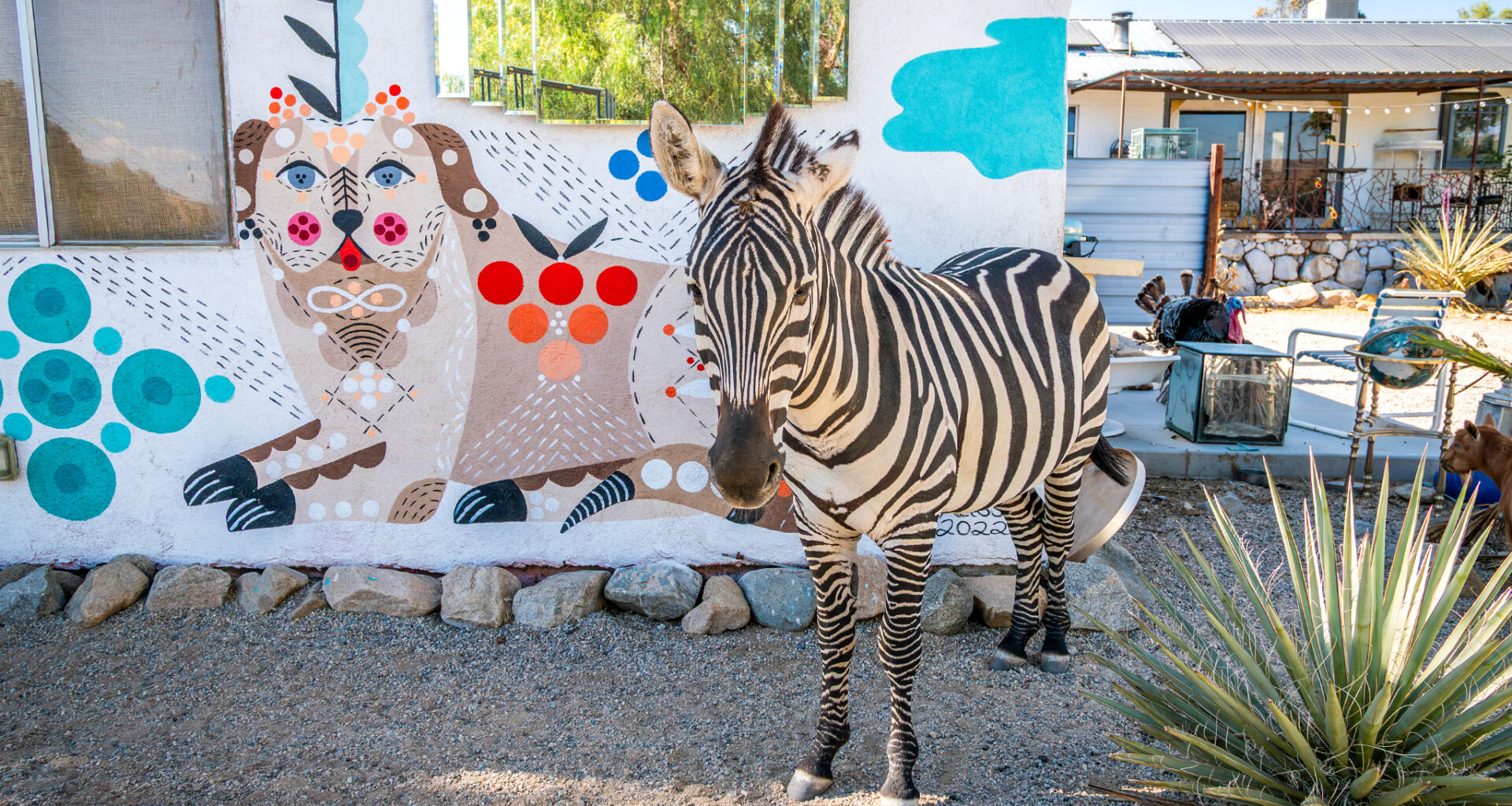 A Calif. desert rescue becomes one of desert's best quirky getaways
