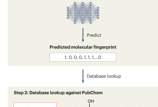 Why machine learning fails at mass spectrometry for small molecules