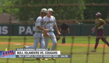 VHSL baseball and softball state semifinals