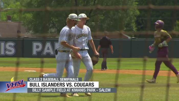 VHSL baseball and softball state semifinals