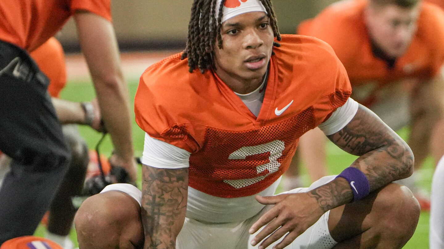 South Carolina judge grants injunction for Clemson WR Tristan Smith