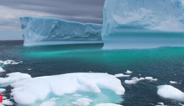 Melting icebergs are dropping rocks onto the Arctic seafloor, and those stones are turning into deep-sea homes for marine life as climate change quietly redraws where life can live