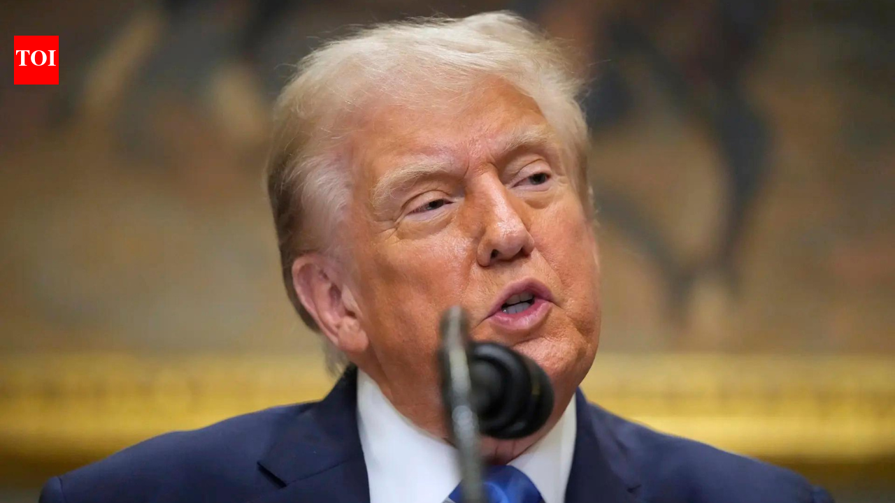'You're getting discombobulated': 'Commander in Chief' Trump shares AI image of US troops advancing