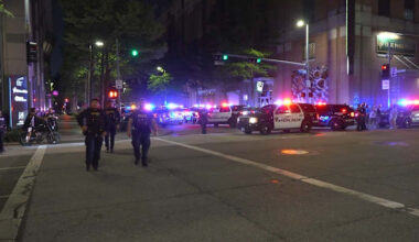 Houston police respond to ‘teen takeover’ at Discovery Green; shots fired, 2 detained with guns