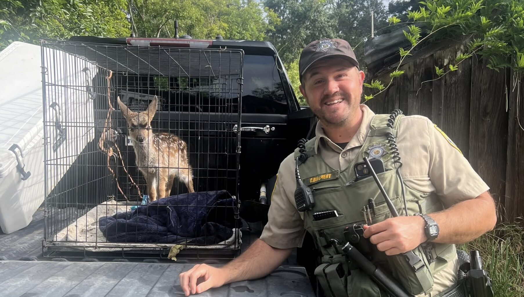 Bay Area resident admits to keeping wild animal at home for weeks