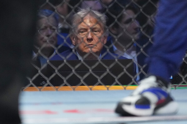 President Donald Trump attends UFC Freedom 250 on the South Lawn of the White House, Sunday, June 14, 2026, in Washington. (AP Photo/Alex Brandon)