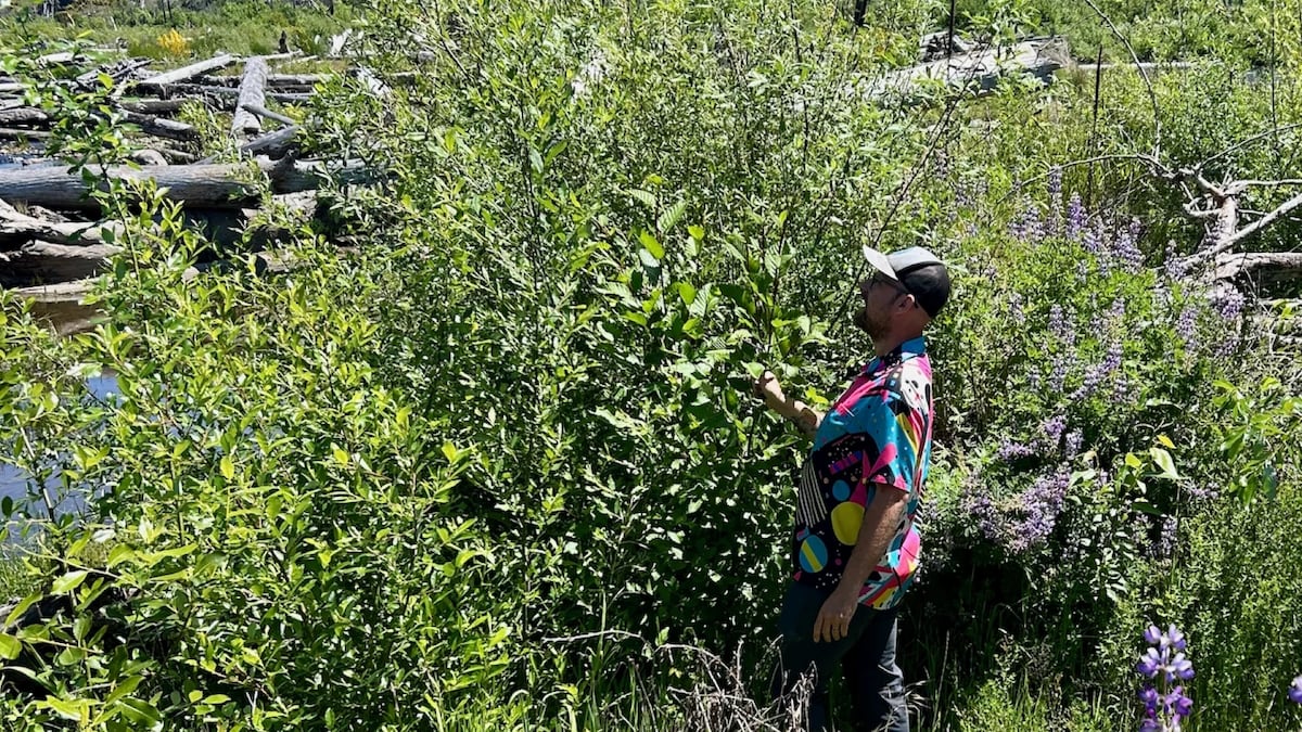 ‘The kind of work that truly moves the needle:’ McKenzie River restoration projects involve large-scale landscape changes