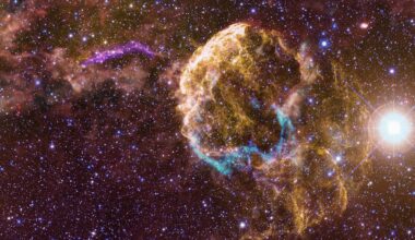 NASA’s Fermi Mission Uncovers Possible Sibling Supernova Remnants