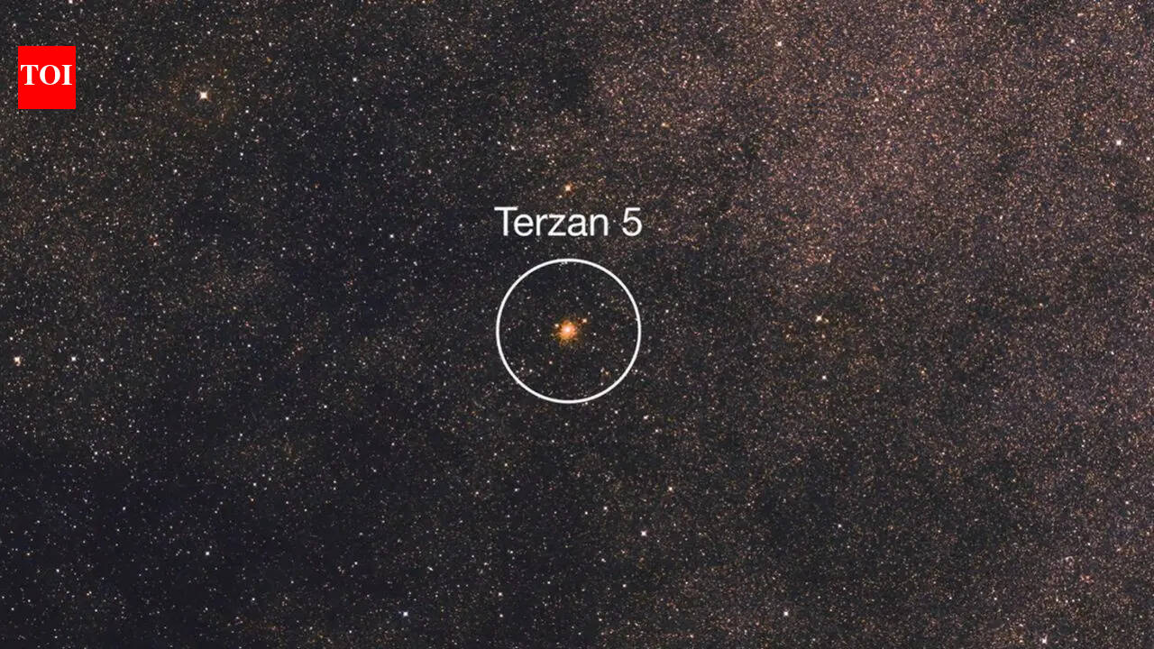 Terzan 5: The ancient stellar system hidden in the heart of the Milky Way |