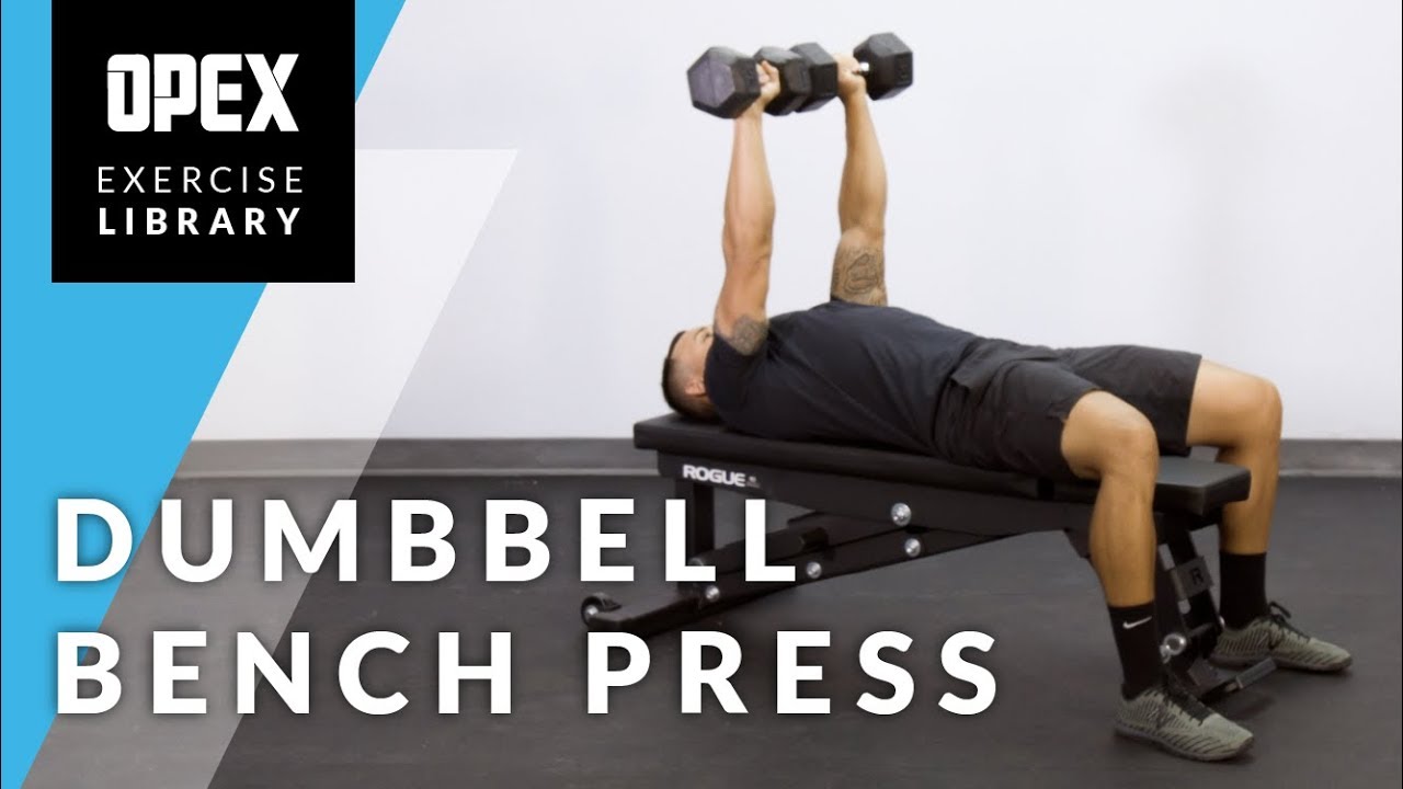 Dumbbell Bench Press - OPEX Exercise Library - YouTube