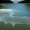 Workers are shown with long poles dipping into the water of the Reflecting Pool. The water is in the foreground of the photo, and it is a deep green color. The Lincoln Memorial is seen in the distance. 
