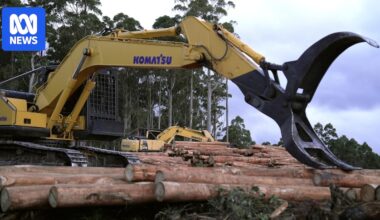 Victoria ended logging. Now it's using Tasmania's native forests