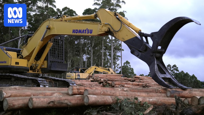 Victoria ended logging. Now it's using Tasmania's native forests