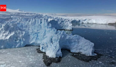Antarctica’s 50-year warning: Scientists say the next few years will shape the future of the West Antarctic Ice Sheet