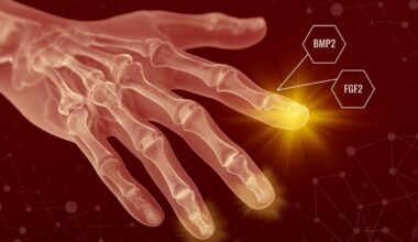 Humans May Have Always Been Able to Regenerate Body Parts–Scar Tissue Just Gets in the Way