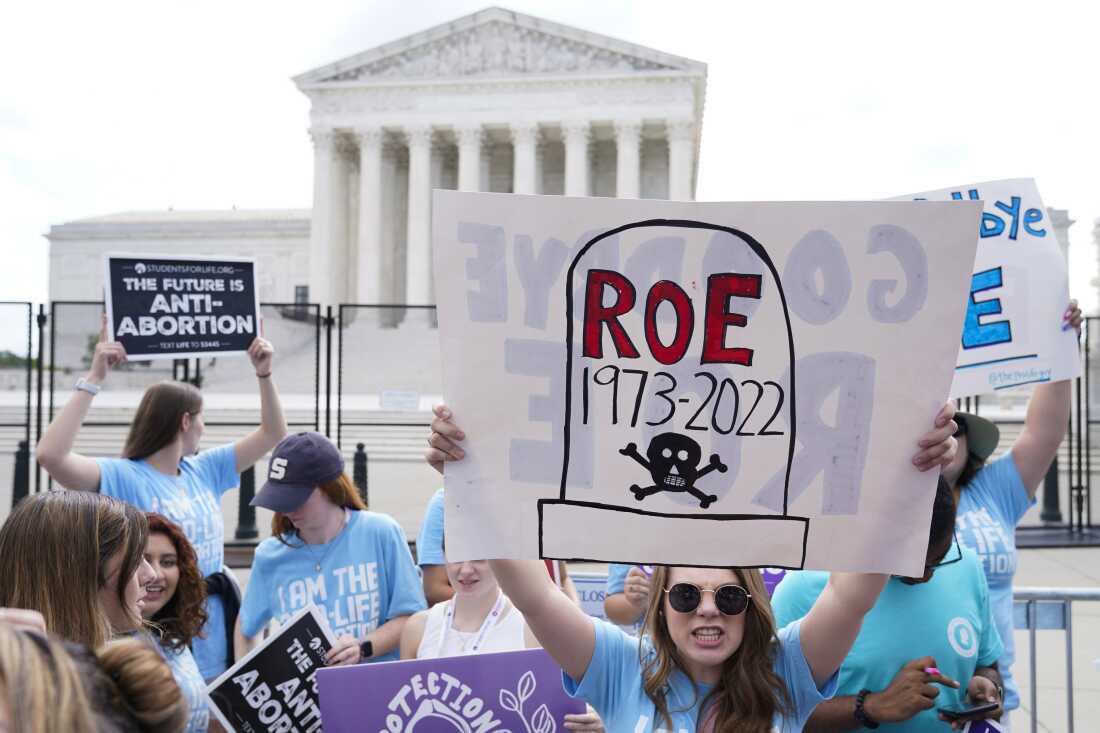 One protestor holds a handmade sign that shows a tombstone. It reads, "Roe 1973-2022" above a skull-and-crossbones drawing. The Supreme Court building is visible in the background. Another holds a sign that says, "The Future is Anti-Abortion."
