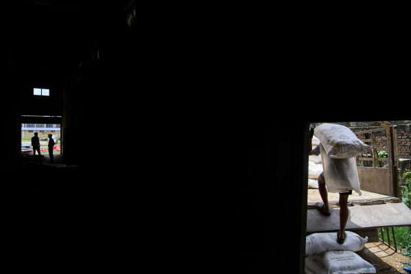 A laborer carries a sack of urea fertilizer to load on a truck at a storage facility of Agricultural Inputs Company Limited ahead of National Paddy Day or Dhan Diwas in Kathmandu, Nepal, Thursday, June 25, 2026, ahead of National Paddy Plantation Day. (AP Photo/Niranjan Shrestha)