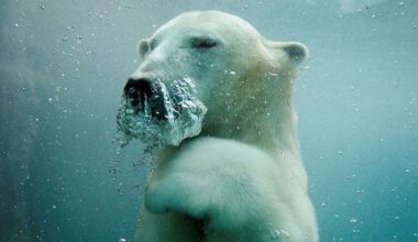 US to create genomic and cellular 'BioVault' for endangered species