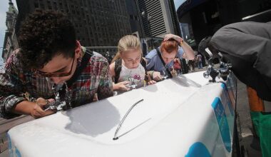 Is the city's tap water as good as New Yorkers claim? We looked into it.