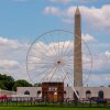 A Ferris wheel sits on the National Mall, with the Smithsonian Castle and Washington Monument in the background.