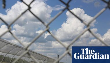 Alarm over ‘extreme’ sentences for anti-ICE protesters convicted of terrorism | Trump administration