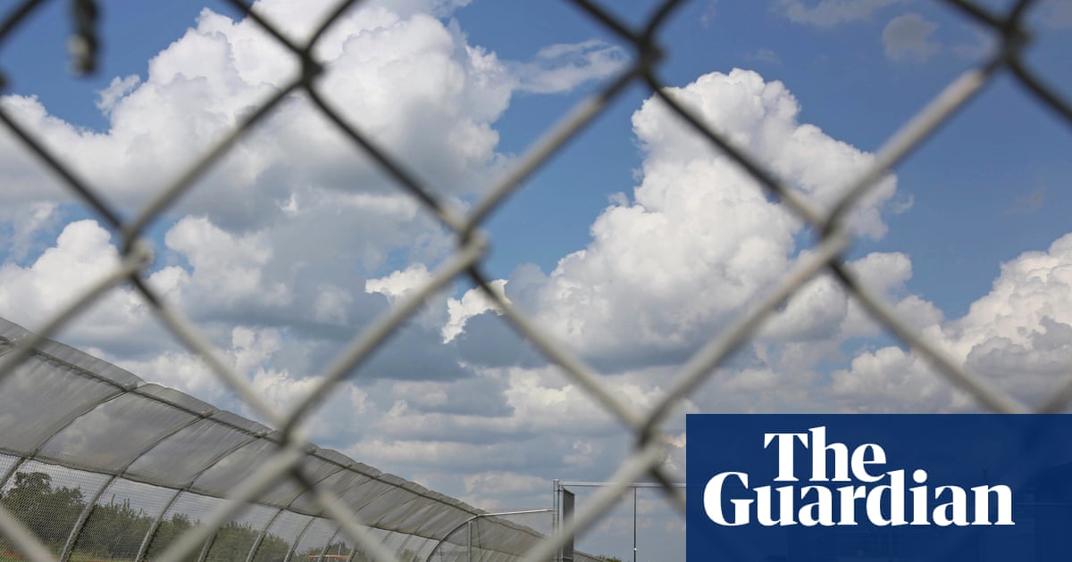 Alarm over ‘extreme’ sentences for anti-ICE protesters convicted of terrorism | Trump administration
