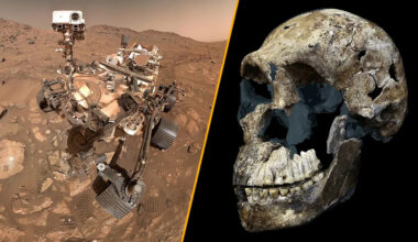 Science news this week: Life on Mars, weird water and a curious human cousin