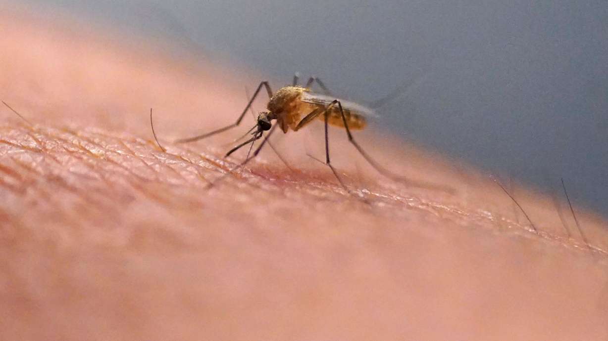Scratching that bug bite might feel good at first, but science explains why it's a bad idea