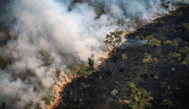 Our Climate Models Are Missing Something Crucial – Mother Jones