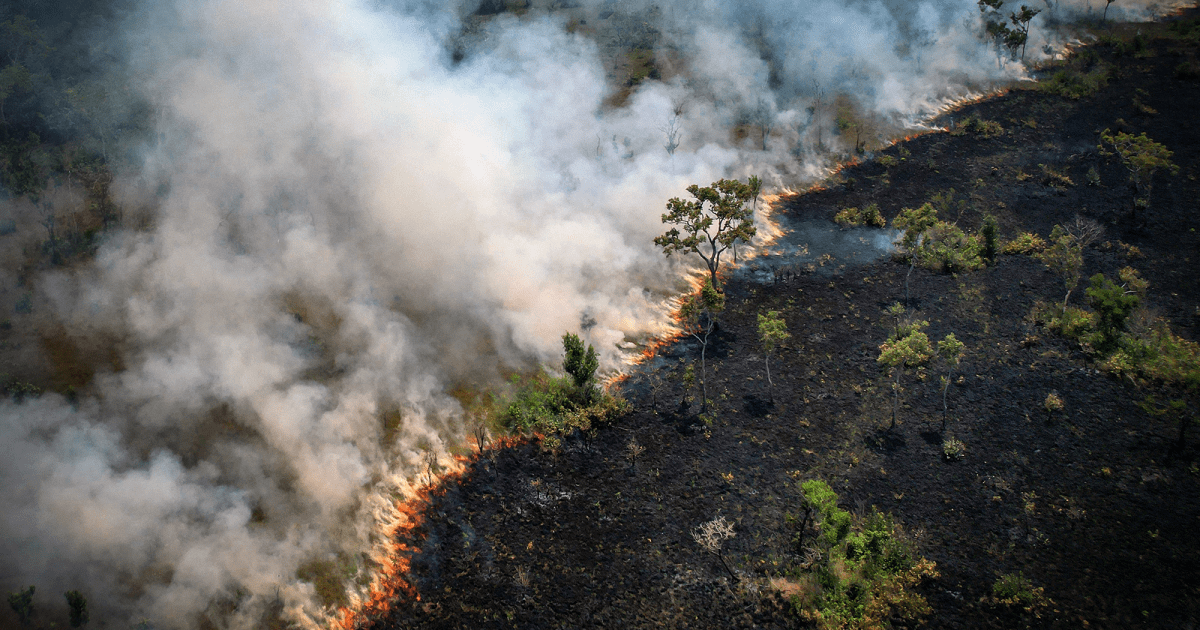 Our Climate Models Are Missing Something Crucial – Mother Jones