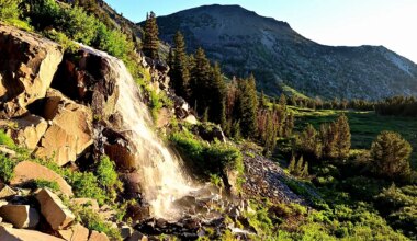 The Biggest National Forests In The United States