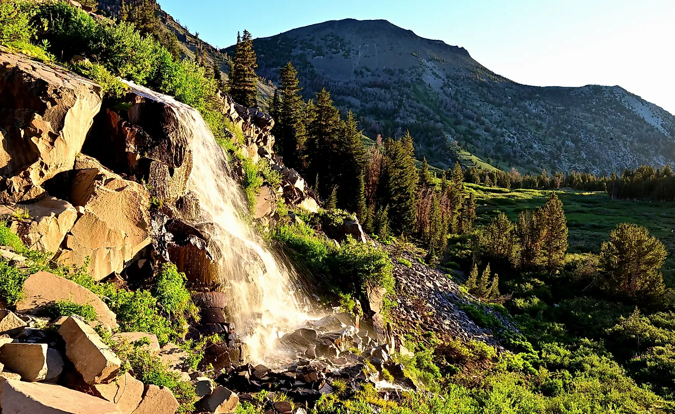 The Biggest National Forests In The United States