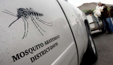 West Nile virus detected in Davis County mosquitoes