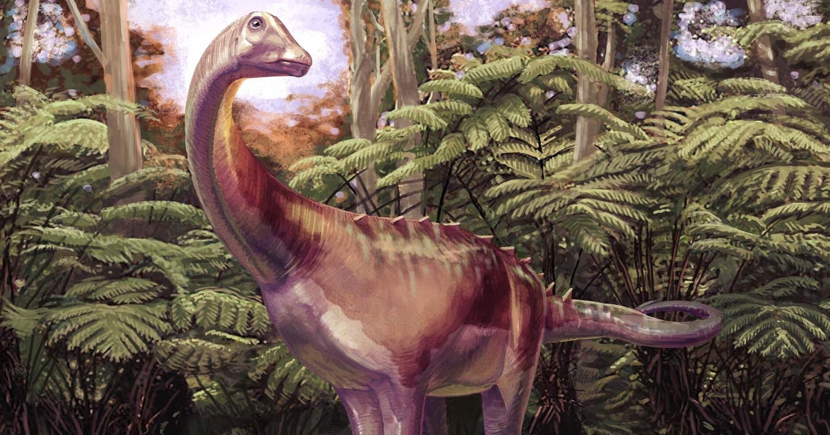 Fossil found tucked away in a drawer turns out to be first dinosaur bone from Antarctica