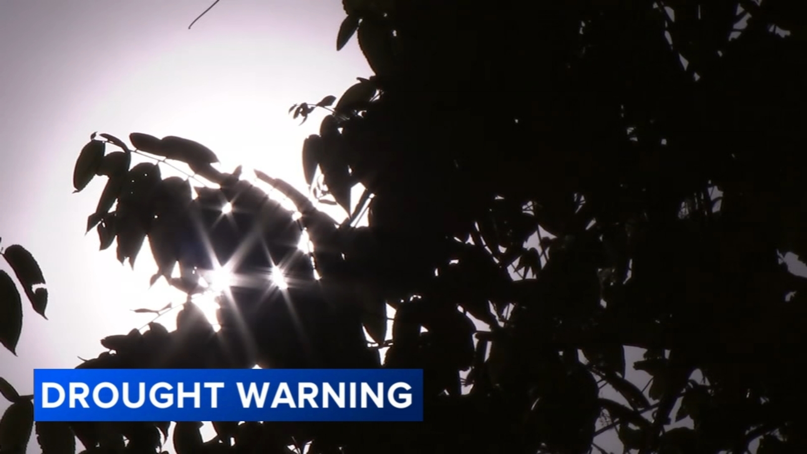 Chester County wells run dry as drought warning prompts calls to conserve water