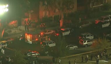 Man, twin 10-year-old boys dead in apparent murder-suicide in Canoga Park, police say