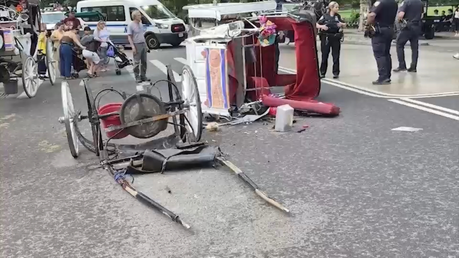 Central Park horse-drawn carriage rides paused after 18-year-old tourist killed