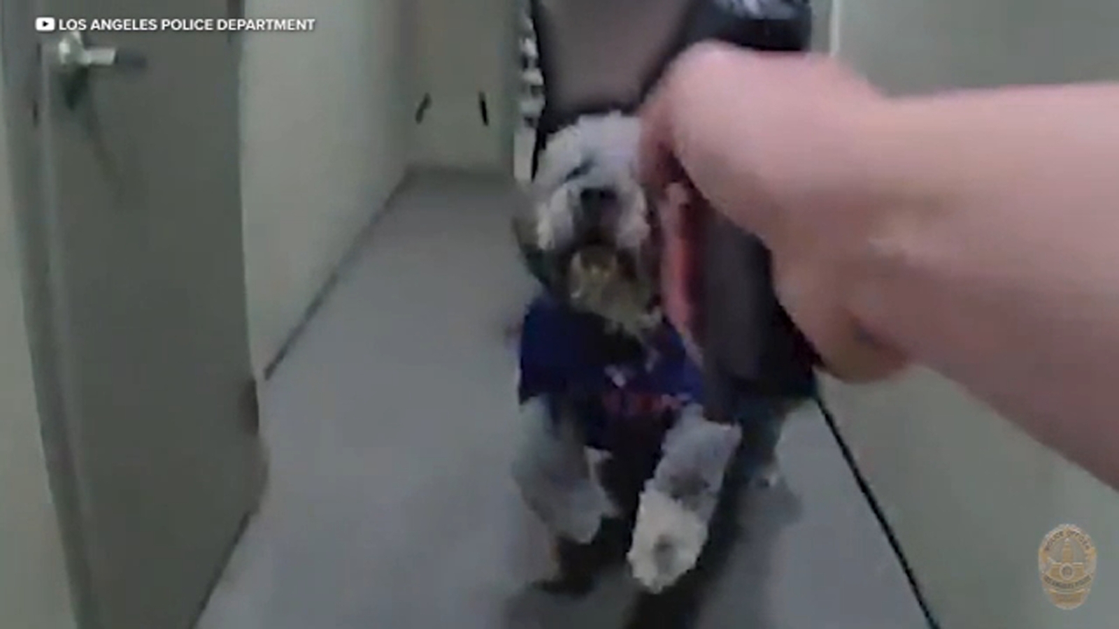 LAPD releases bodycam video showing moments before officer shoots and kills dog during Knicks celebration in Canoga Park