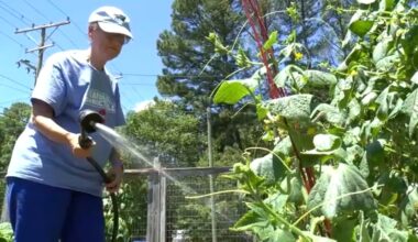 Drought NC | 107 complaints filed as Durham enters week two of water restrictions