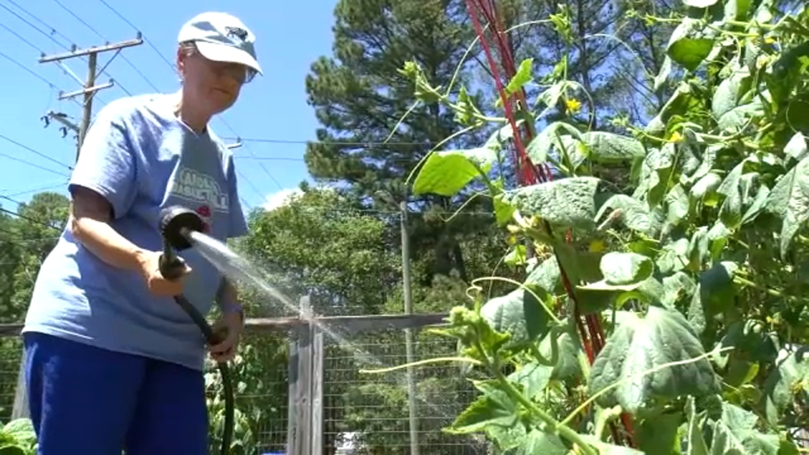 Drought NC | 107 complaints filed as Durham enters week two of water restrictions