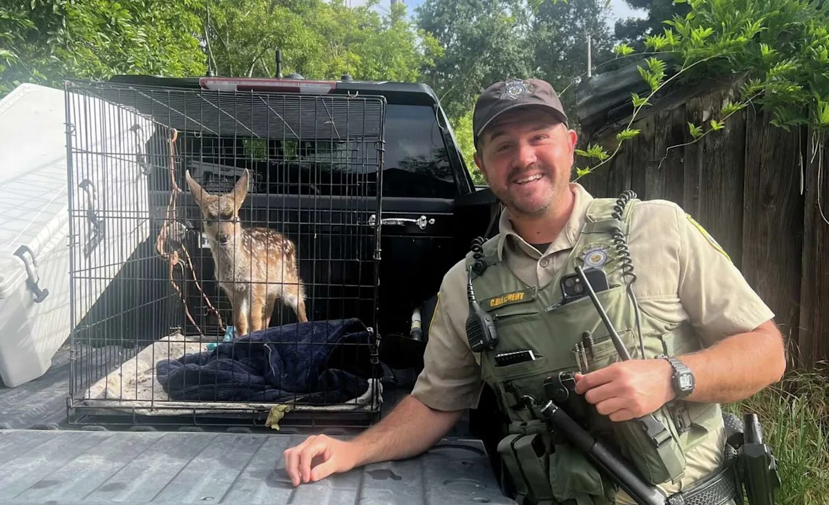 Bay Area resident admits to capturing wild animal, keeping it at home for weeks
