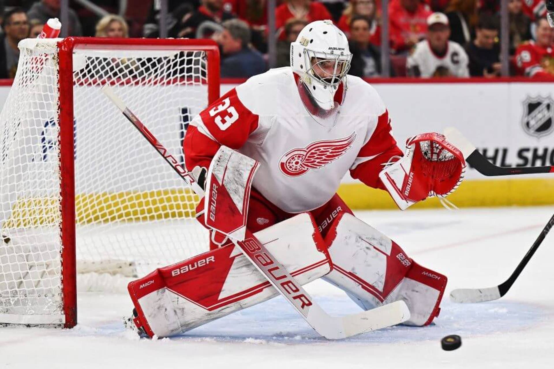 Sebastian Cossa tends goal in a Red Wings preseason game.