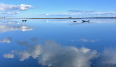 The sea is returning to the center of the Portuguese economy