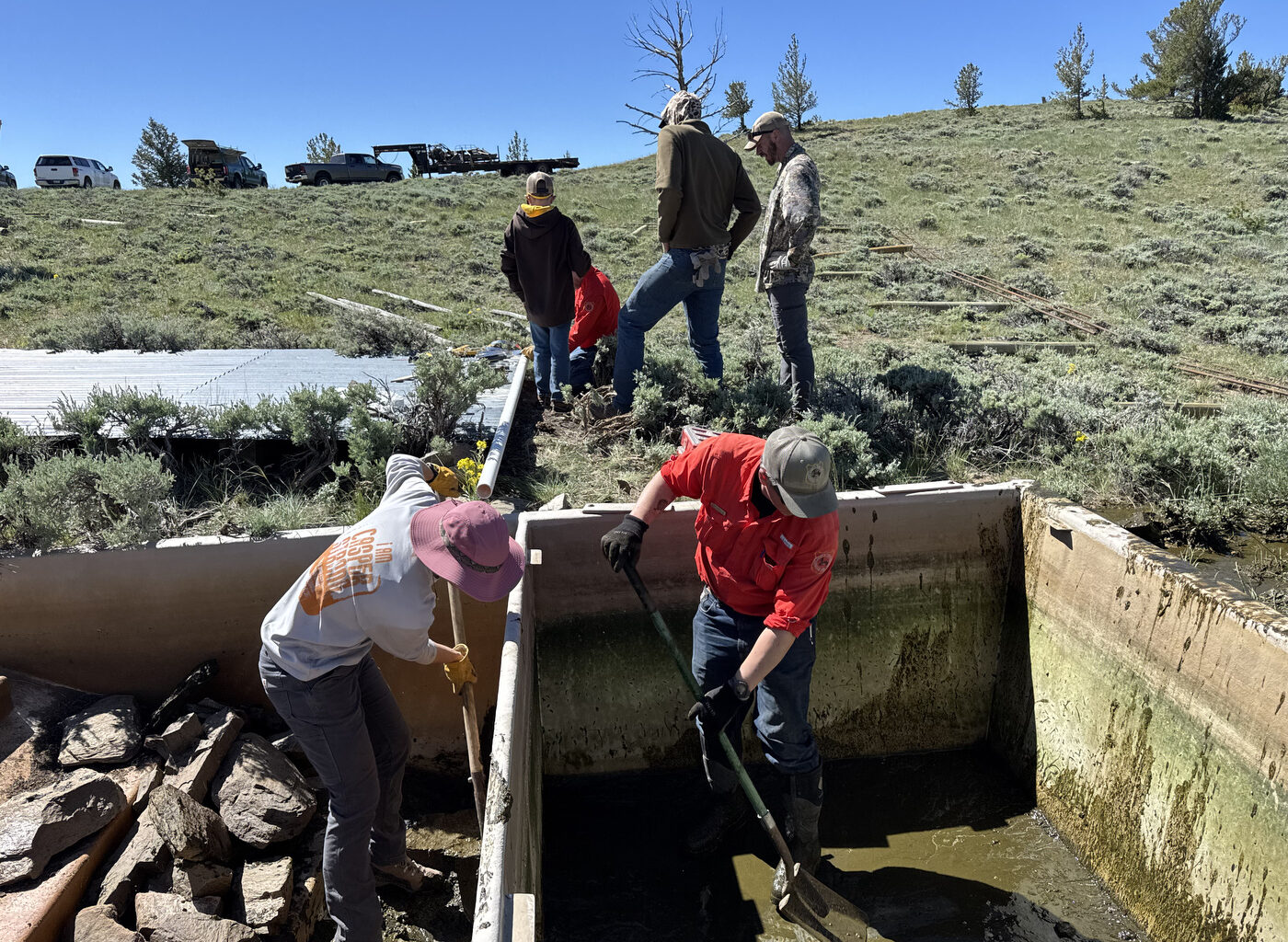 Water guzzlers may provide critical relief for wildlife during drought