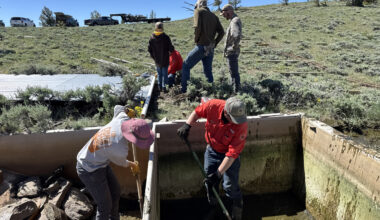 Water guzzlers may provide critical relief for wildlife during drought